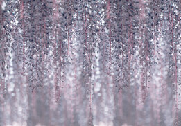 Wisteria fotobehang Blauweregen I