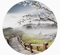 Behangcirkel Cherry Blossom Misty Mountains