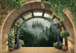 3D behang Doorkijk Misty Forest