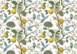 Lemon and Birds fotobehang