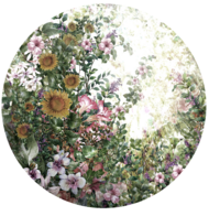 Behangcirkel Bloemen uit de tuin
