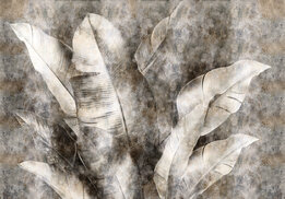 Grote bananenbladeren fotobehang Beige Grijs