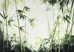 Bamboe takken fotobehang