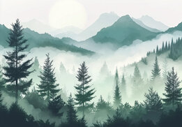 Bos fotobehang Misty Pine Forest