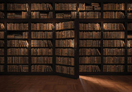 Boekenkast fotobehang bruin met deur