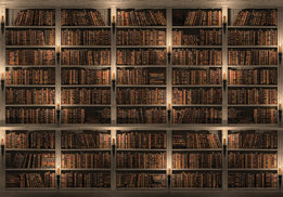 Boekenkast fotobehang bruin