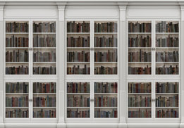 Boekenkast fotobehang wit