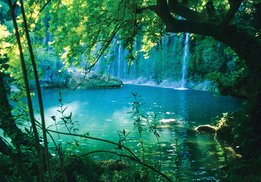 Bosmeer en waterval Bos fotobehang