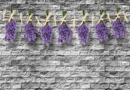 Stenen muur met lavendel fotobehang