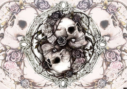 Dioscuri Skulls Alchemy fotobehang