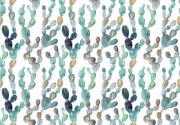 Cactus fotobehang