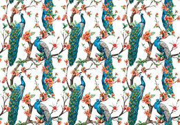 Blauwe Pauwen fotobehang