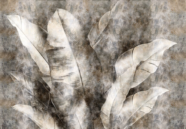 Grote bananenbladeren fotobehang Beige Grijs